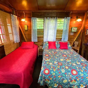 Judy House Cottages And Rooms Negril