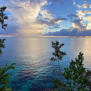 Oceanfront W/ Free Parking + High Speed Wifi Apartment