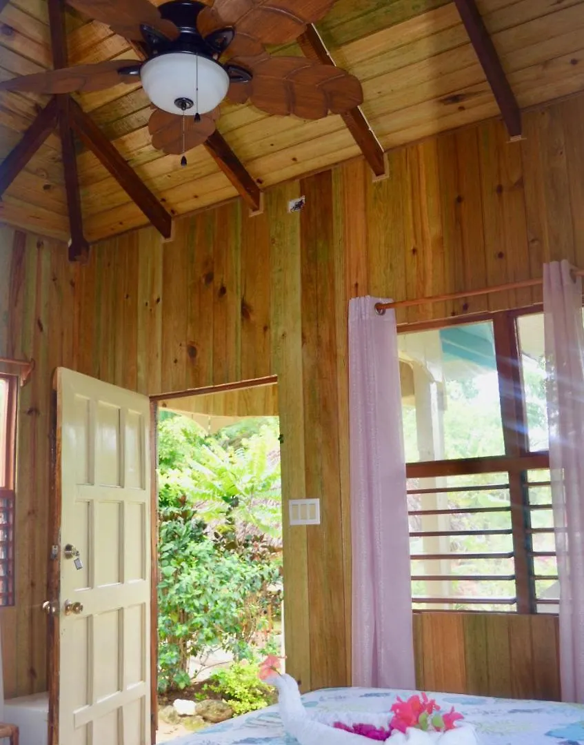 فندق مبيت وإفطار نيغريل Coral Cottage Jamaica جامايكا