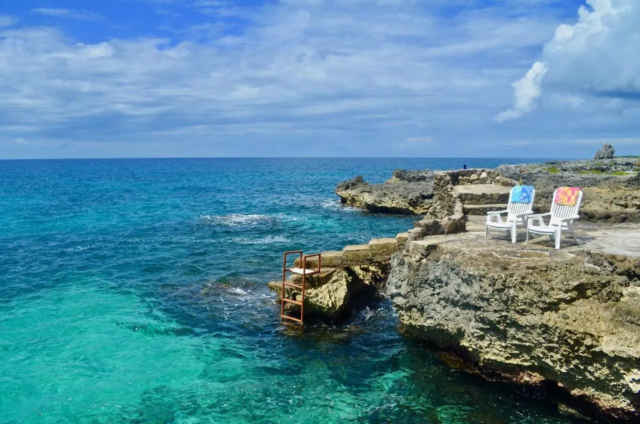 فندق مبيت وإفطار نيغريل Coral Cottage Jamaica