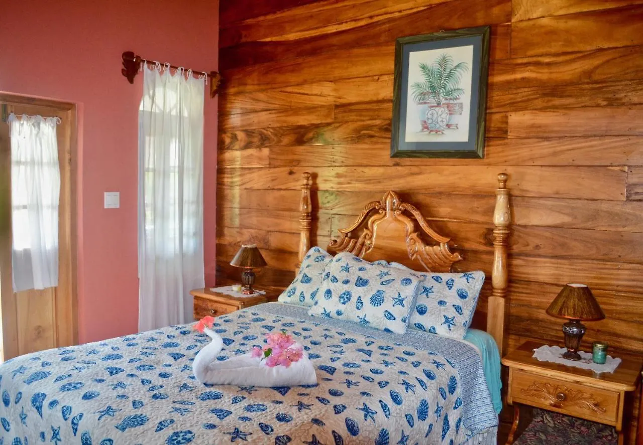 فندق مبيت وإفطار نيغريل Coral Cottage Jamaica جامايكا