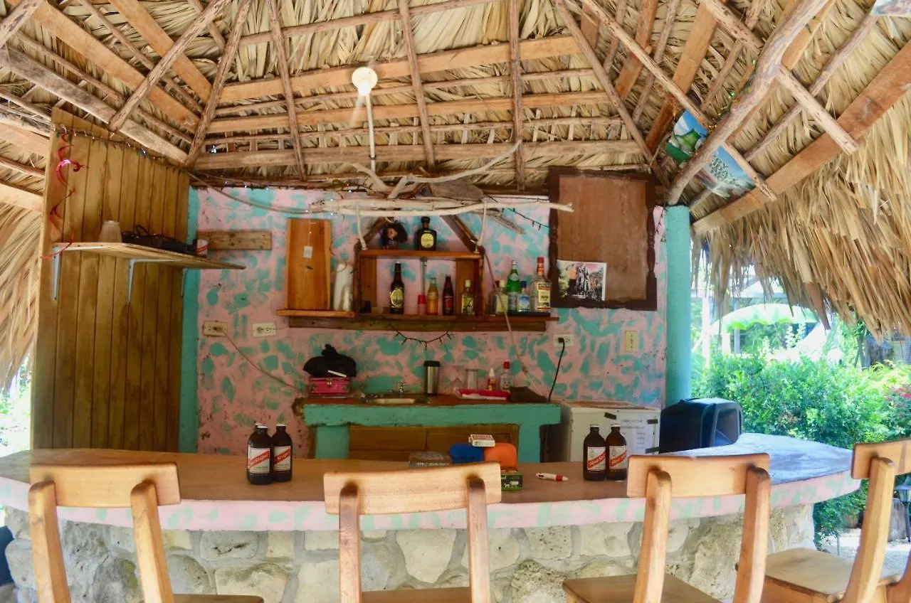 فندق مبيت وإفطار نيغريل Coral Cottage Jamaica جامايكا